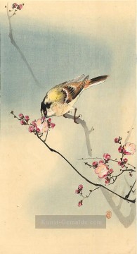  son - Singvogel auf Pflaumblüte Ohara Koson Japanisch